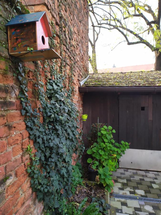 Tiny Cozy Accommodation Zagabria Esterno foto